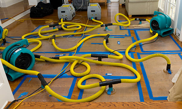 Professional Storm Water Damage Restoration technician working in Kingwood, WV